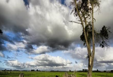 先斟满自己的杯子