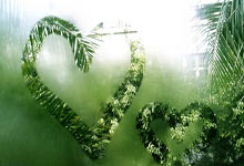 先斟满自己的杯子