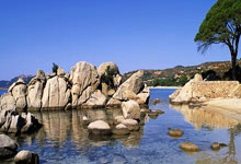 先斟满自己的杯子