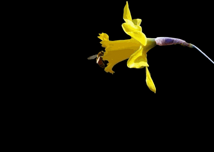 揭秘高中十大残酷真相，家长必看避坑指南