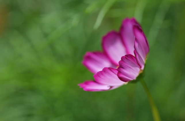 小心!你的“有用对话”正在杀死亲子关系