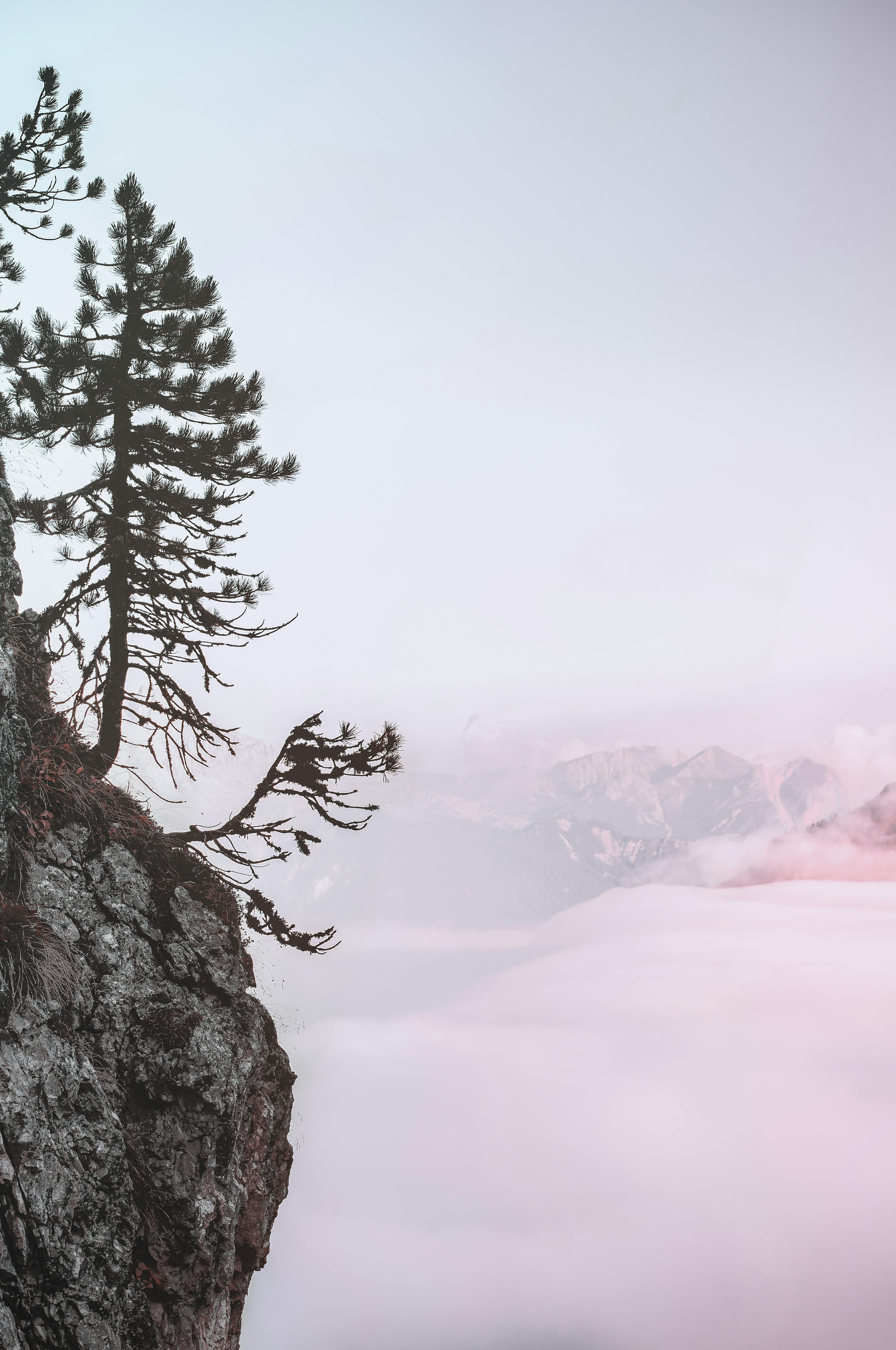 休学三不碰!越帮越害娃的血泪教训